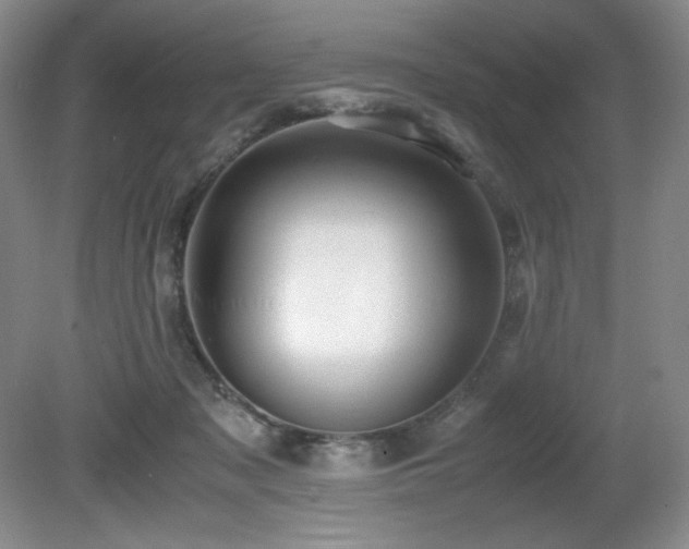 X0000081610317200701151412