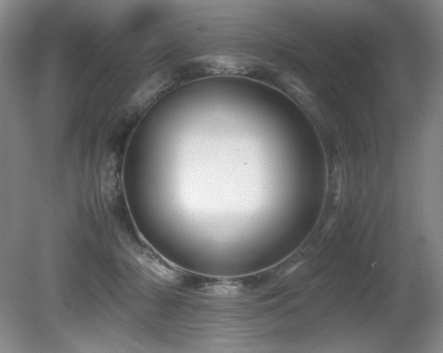 X0000081610318200701151412