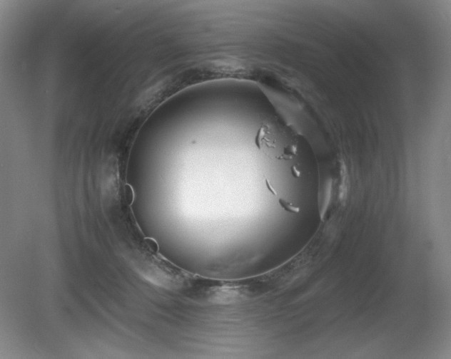 X0000081610320200701151412