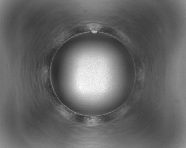 X0000081610321200701151412