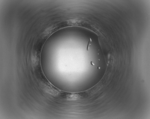 X0000081610324200701151412