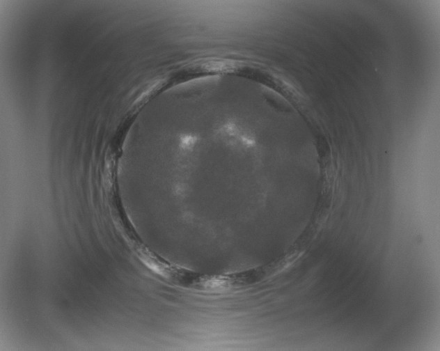 X0000081610325200701151412