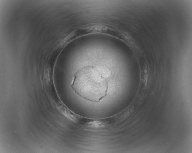 X0000081610326200701151412