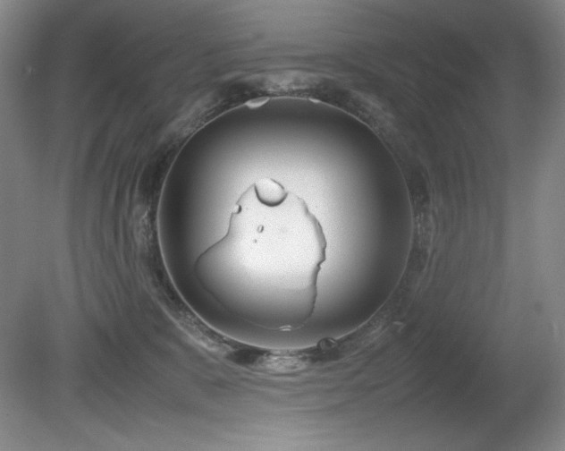 X0000081610327200701151412