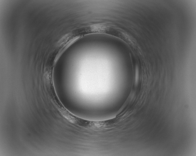 X0000081610329200701151412