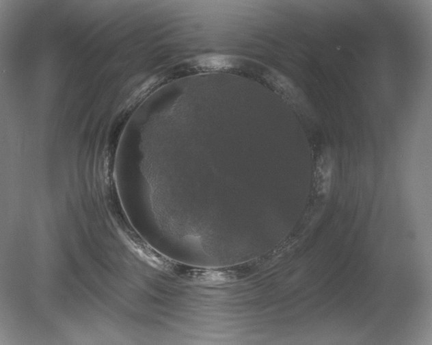 X0000081610330200701151412