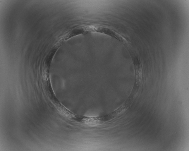 X0000081610331200701151412