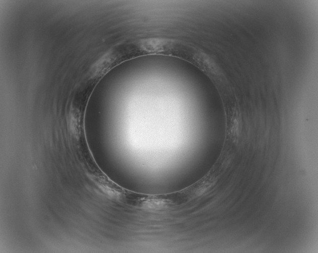 X0000081610332200701151412