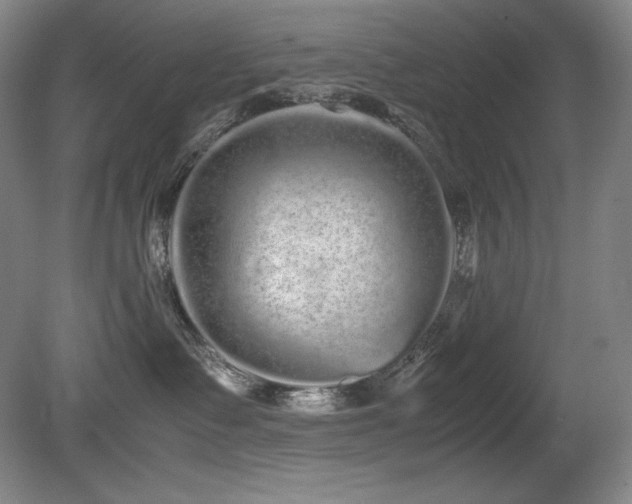 X0000081610335200701151412