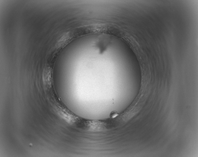 X0000081610336200701151412