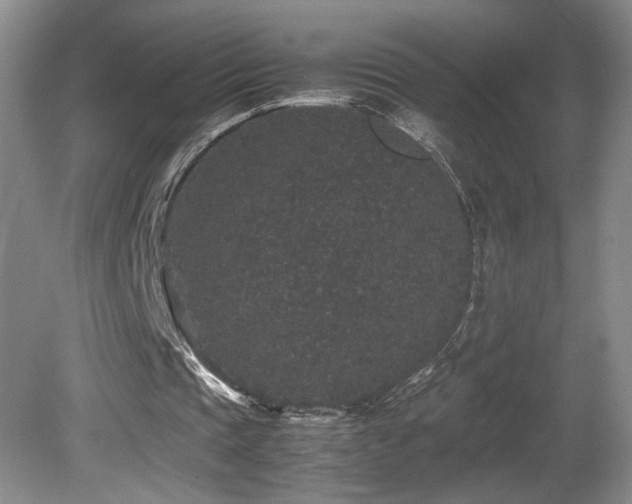 X0000081610337200701151411