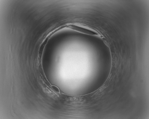 X0000081610338200701151411