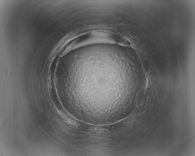 X0000081610339200701151411