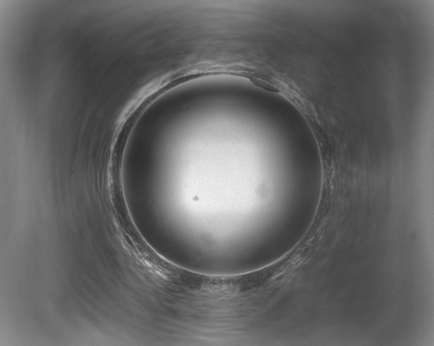 X0000081610340200701151411