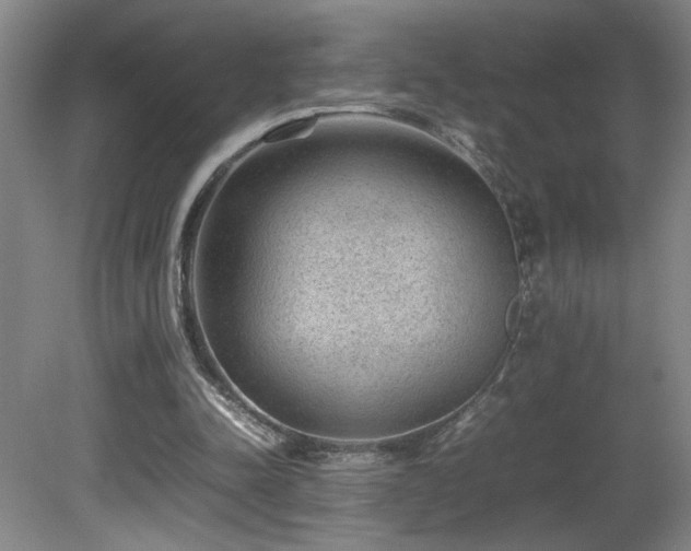 X0000081610342200701151411