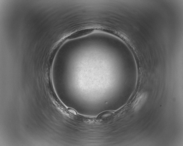 X0000081610345200701151411