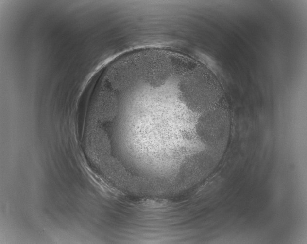 X0000081610346200701151411