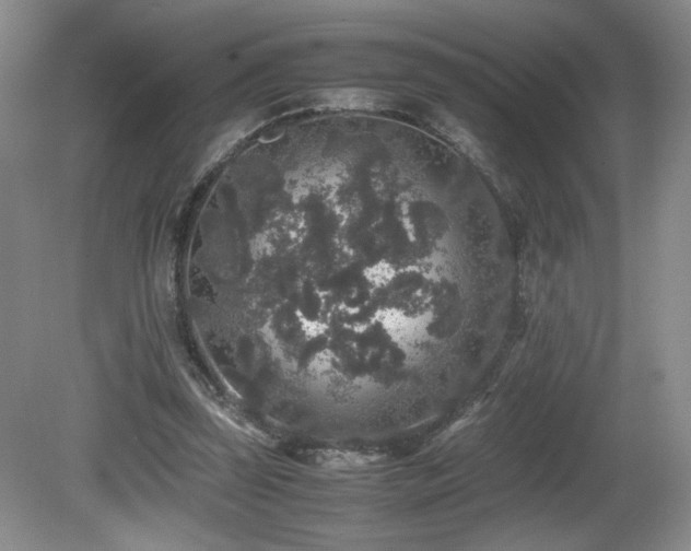 X0000081610347200701151411