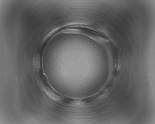 X0000081610348200701151411