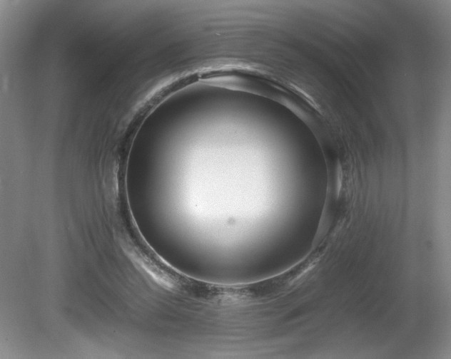 X0000081610350200701151411