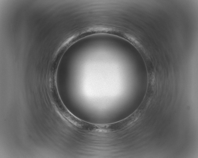 X0000081610352200701151411