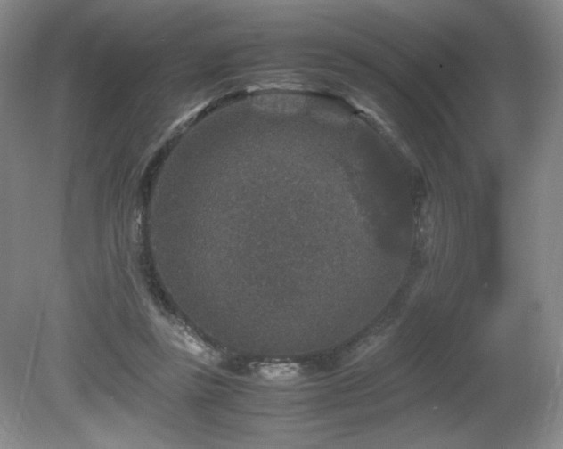 X0000081610355200701151411