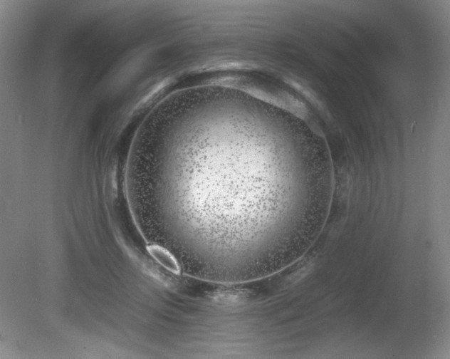 X0000081610358200701151411