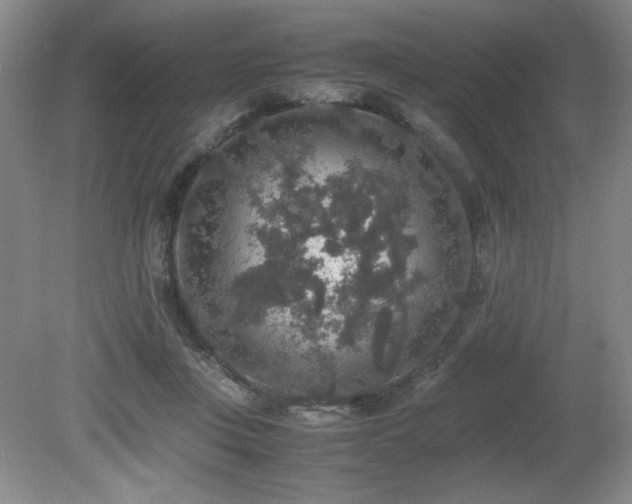 X0000081610359200701151411