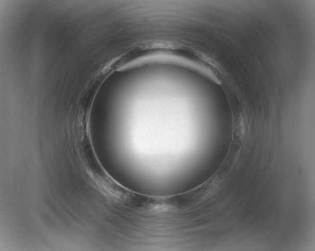 X0000081610360200701151411