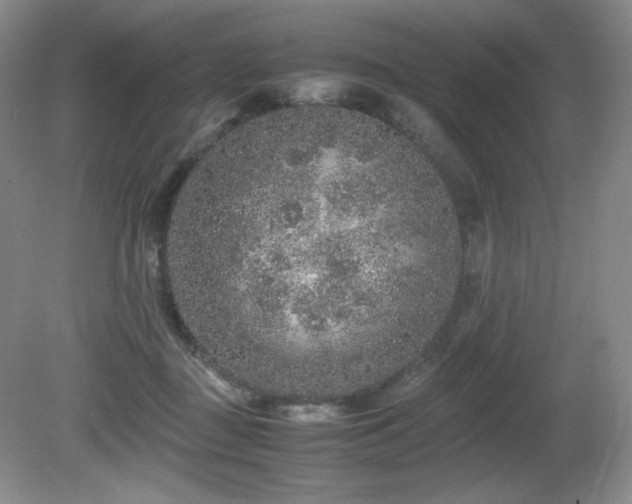 X0000081610363200701151411