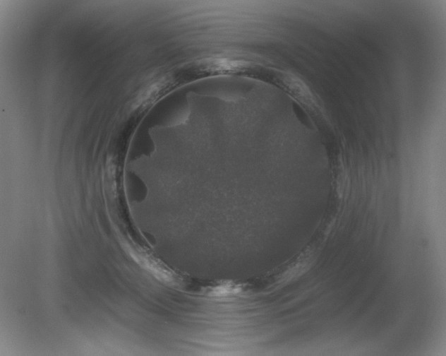 X0000081610366200701151411