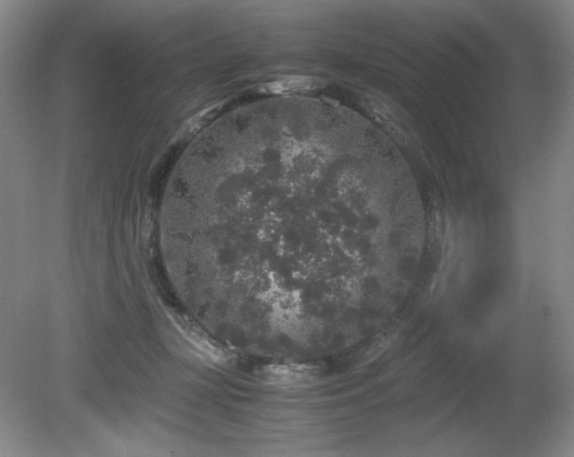 X0000081610367200701151411