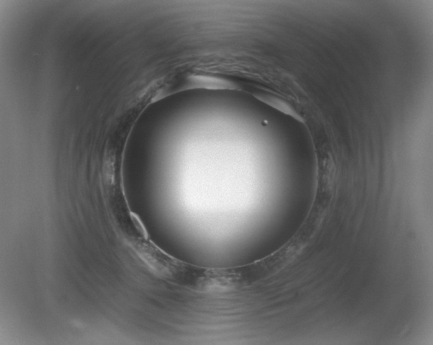 X0000081610368200701151411