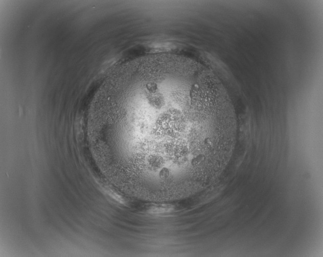 X0000081610369200701151411