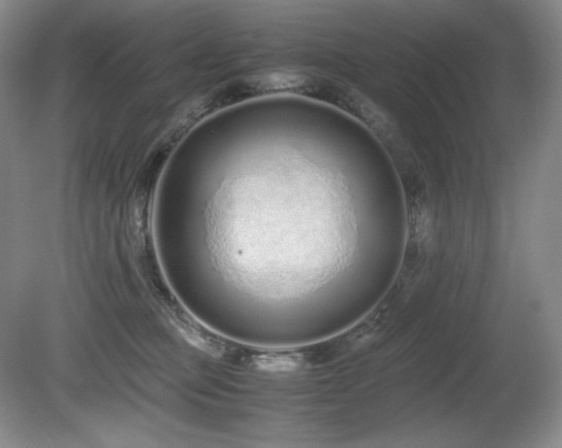 X0000081610373200701151411