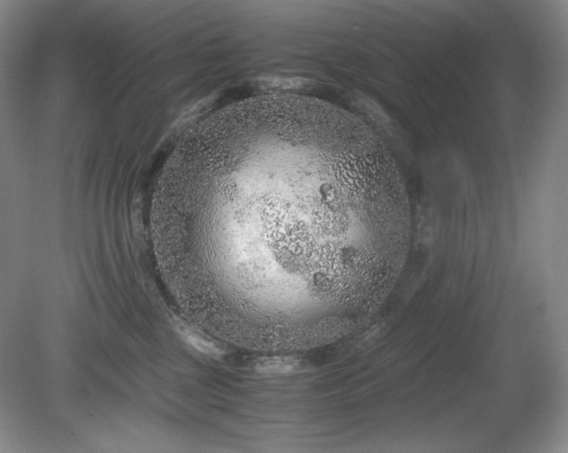 X0000081610377200701151411