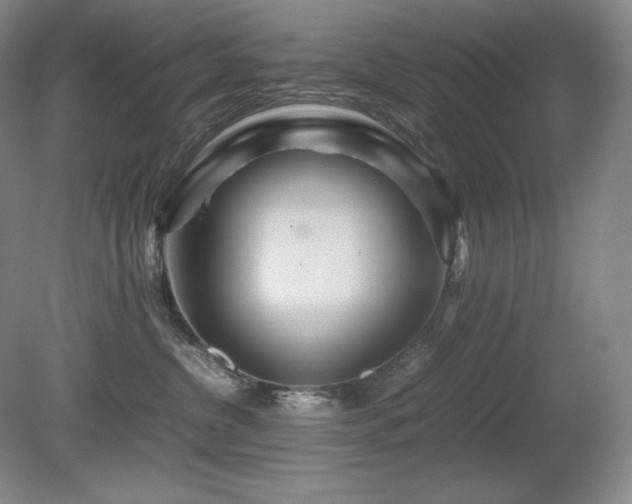 X0000081610380200701151412