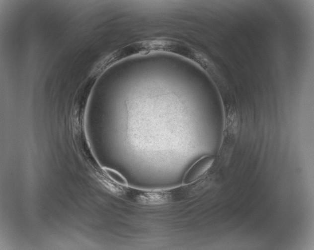 X0000081610381200701151412