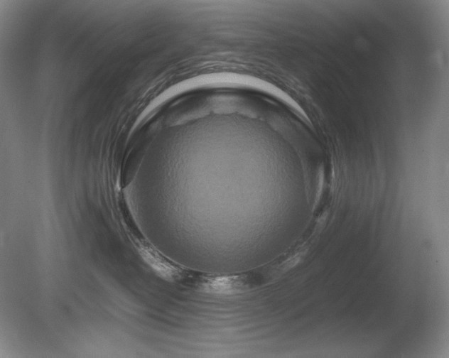 X0000081610382200701151412