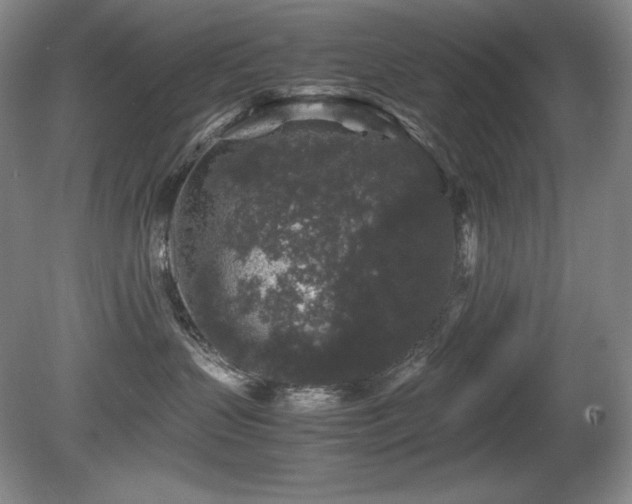 X0000081610383200701151412