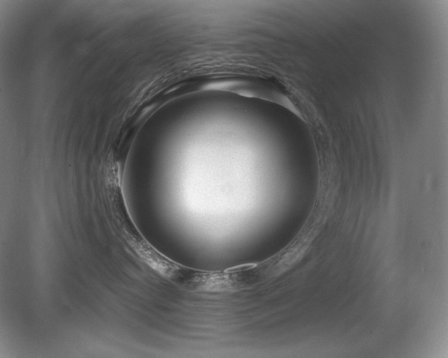 X0000081610384200701151412