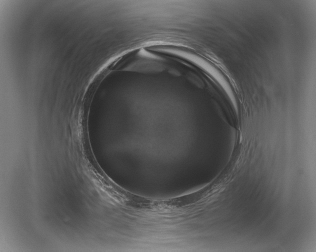 X0000081610387200701151411