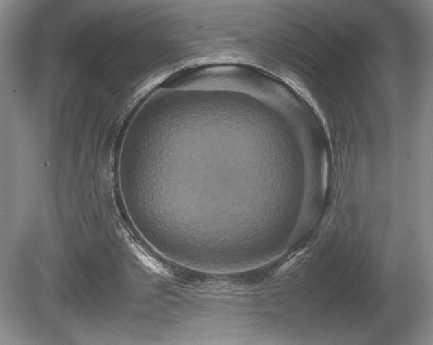 X0000081610389200701151411