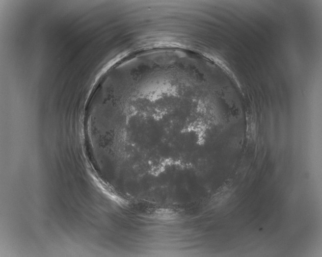 X0000081610390200701151411