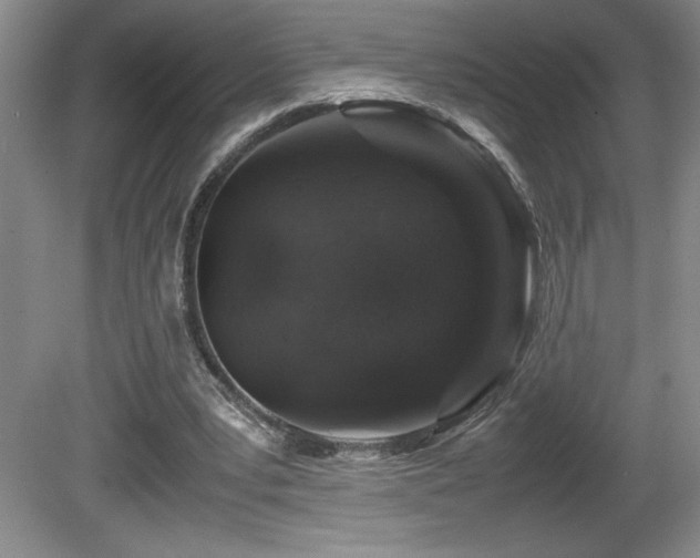 X0000081610391200701151411