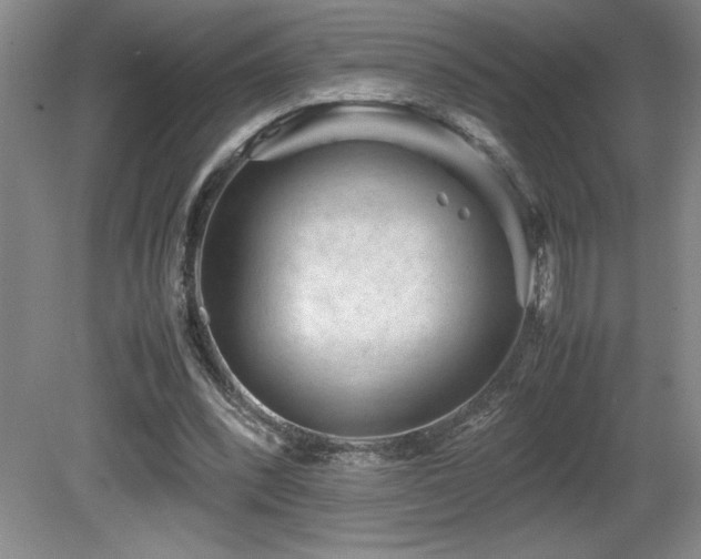 X0000081610392200701151411