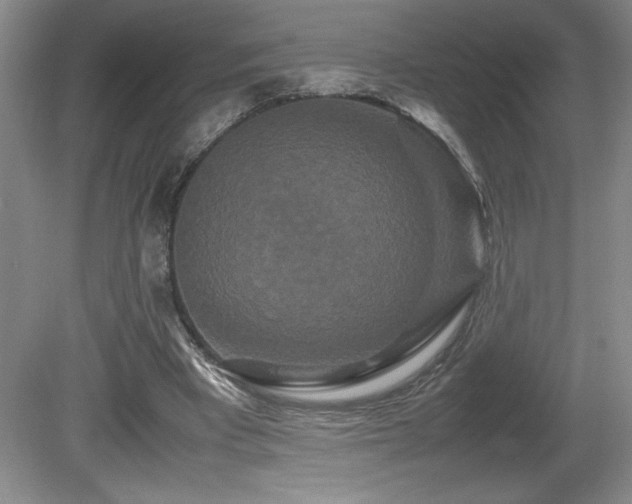 X0000081610393200701151411