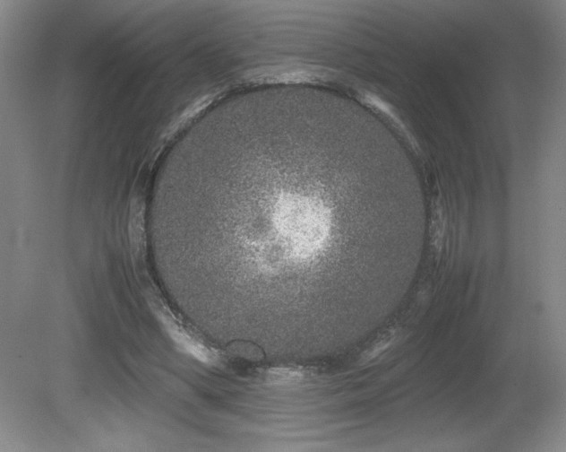 X0000081610394200701151411