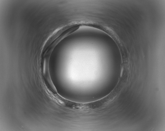 X0000081610395200701151411