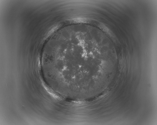 X0000081610398200701151411